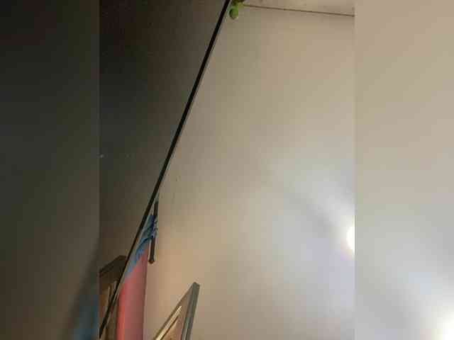 LittleToxic webcam