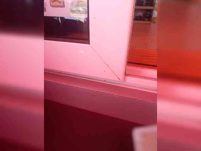 OlgaSaphire webcam