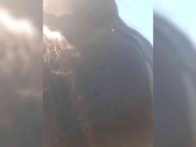 OlgaSaphire webcam