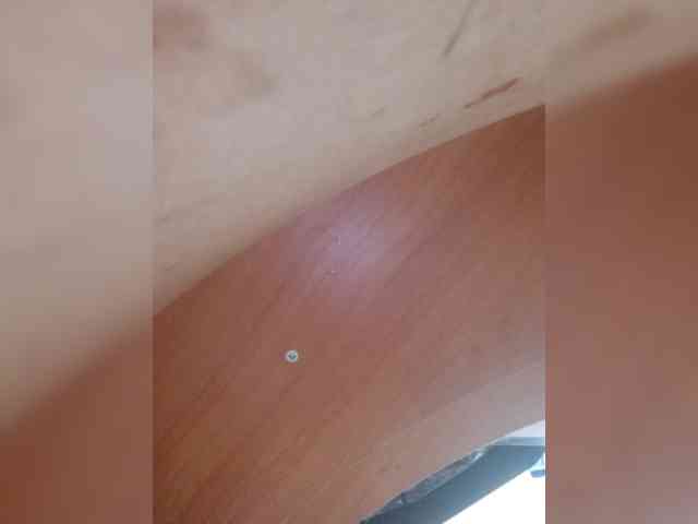 OlgaSaphire OlgaSaphire