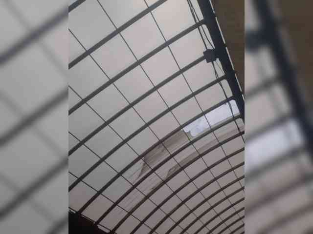 OlgaSaphire webcam