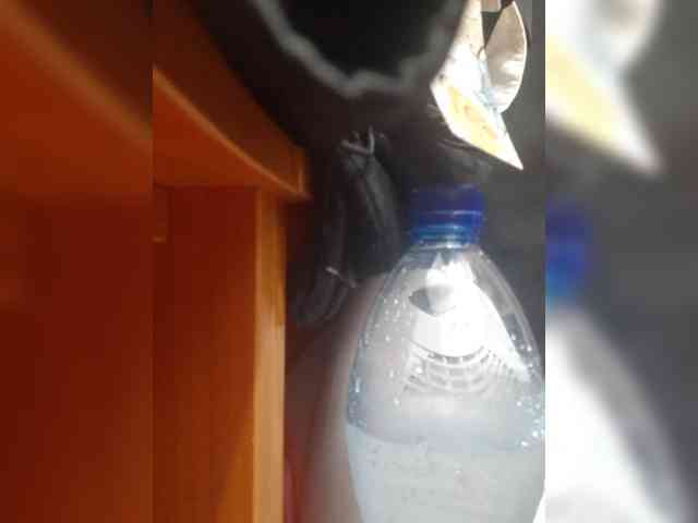 OlgaSaphire webcam