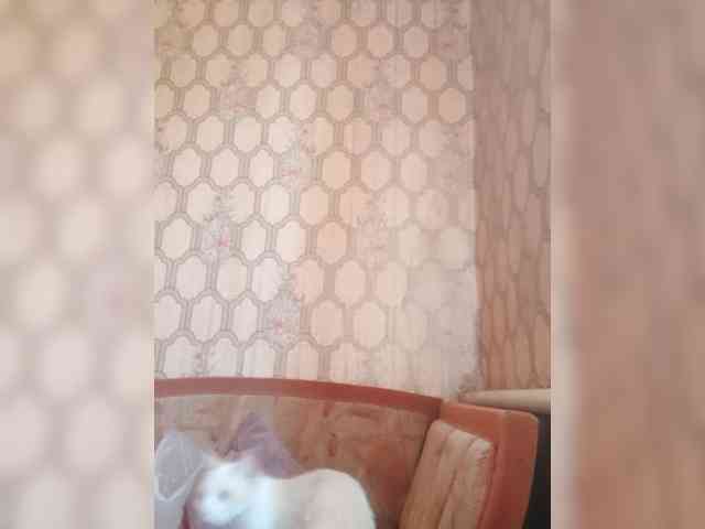 Calibriya webcam