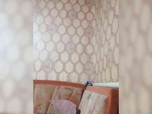 Calibriya webcam