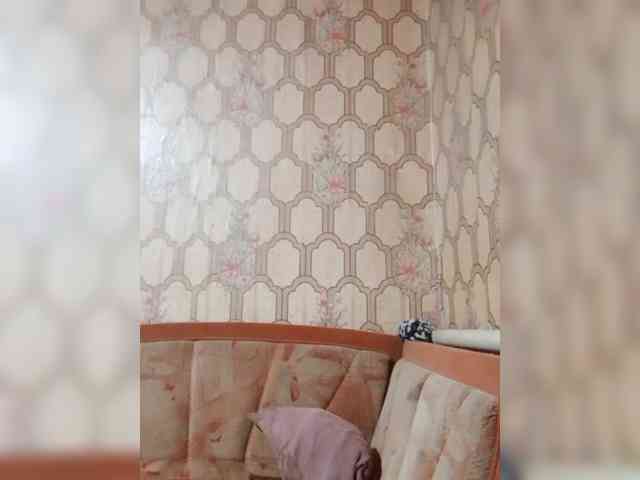 Calibriya webcam