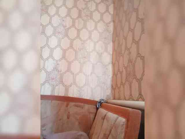 Calibriya webcam