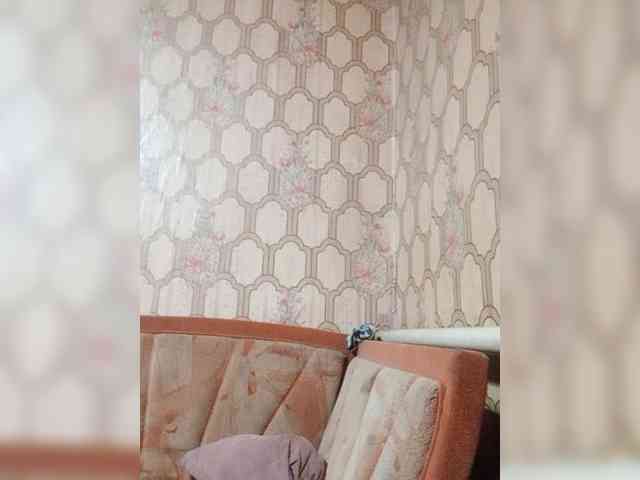 Calibriya webcam