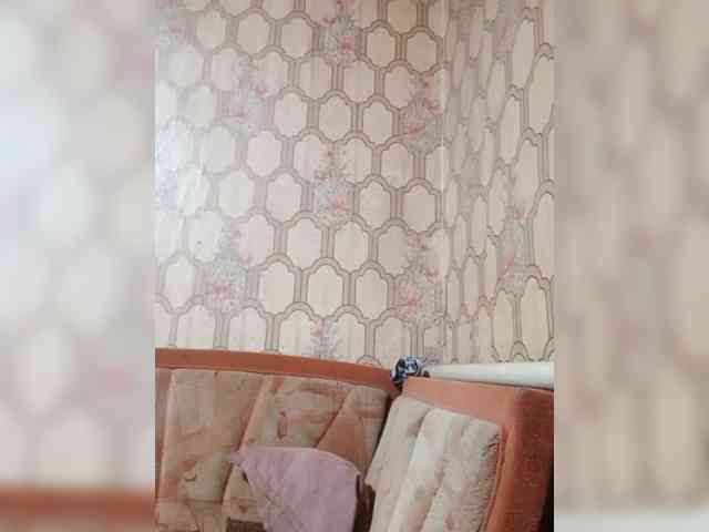 Calibriya webcam