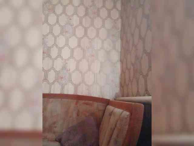Calibriya's cam show statistics and live stream