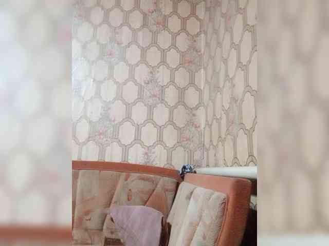Calibriya webcam