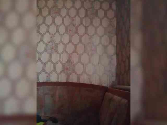 Calibriya webcam