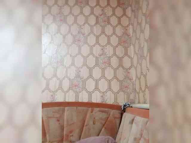 Calibriya webcam