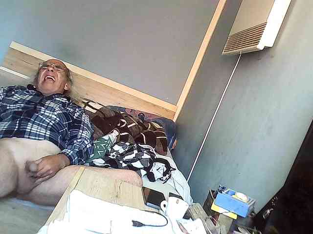 borut689