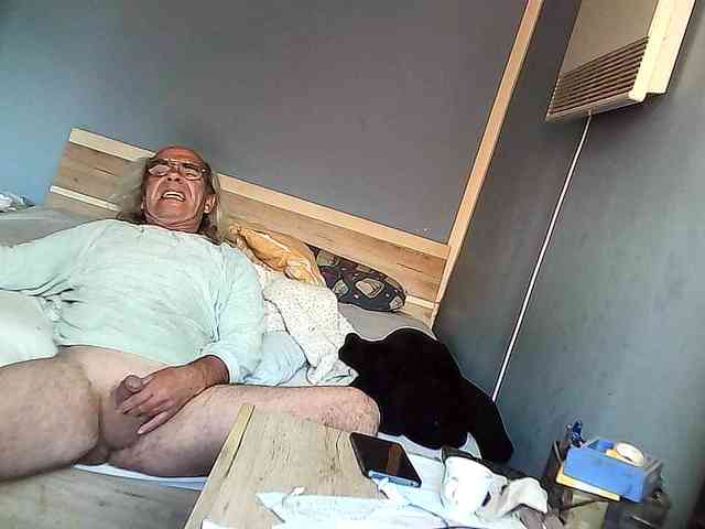 borut689