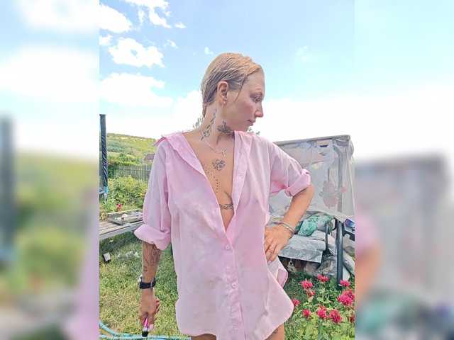 dvenasti cam belle