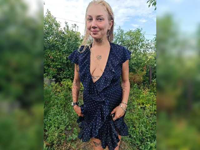 dvenasti live webcam show