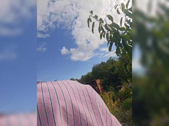 dvenasti live cam on BongaCams