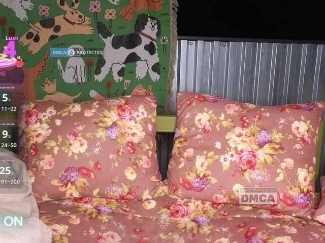dvenasti live cam on BongaCams