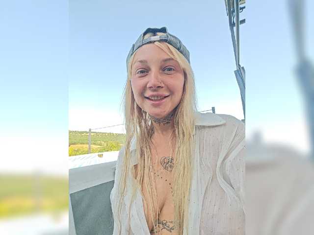 dvenasti live cam