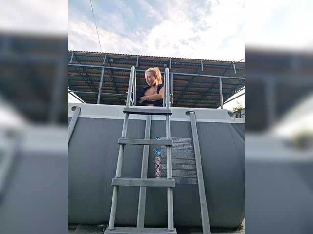 dvenasti live webcam show