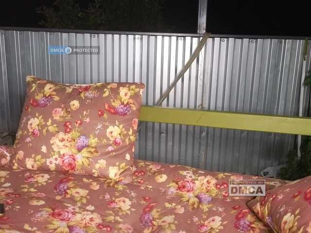 dvenasti live cam