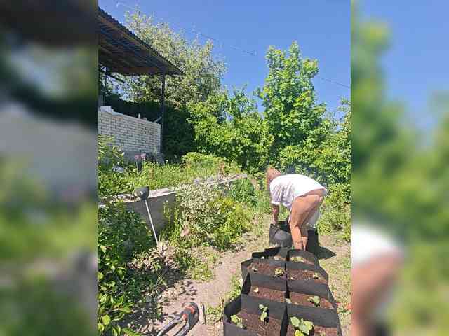 CrazyNastya1 webcam