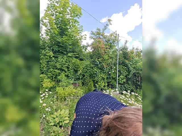 CrazyNastya1 webcam