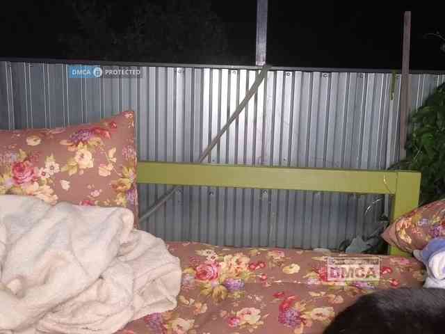 dvenasti Sex Cam Show