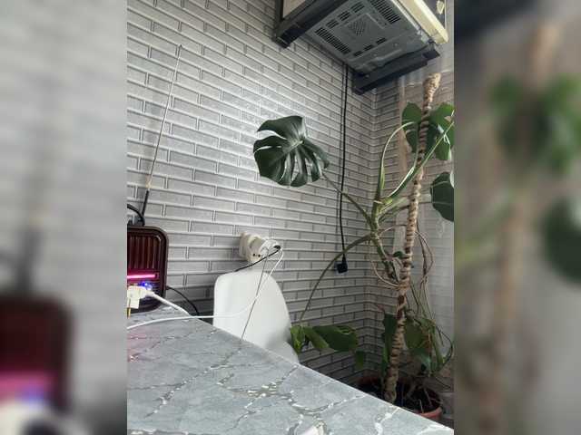 PussyDicks live cam on BongaCams