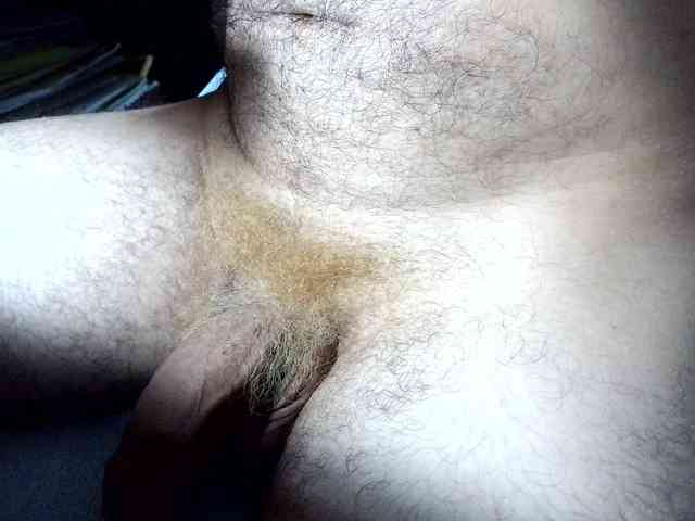 andrew1520