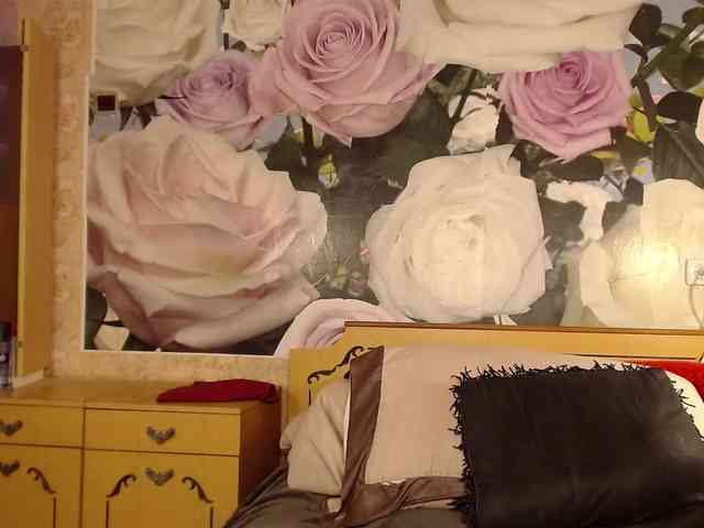 -Karolina555- webcam