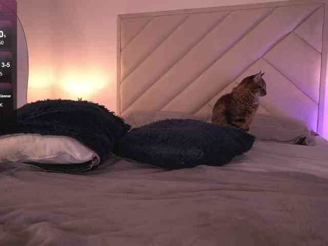 Sofia-Jones webcam