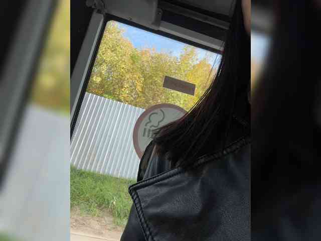 GAVKA_ webcam