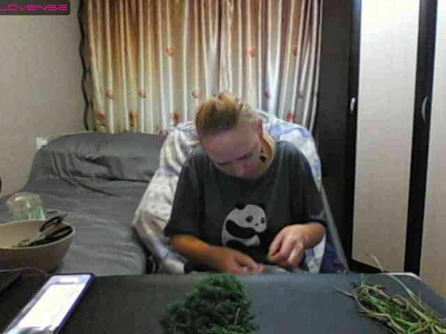 Sona891 webcam