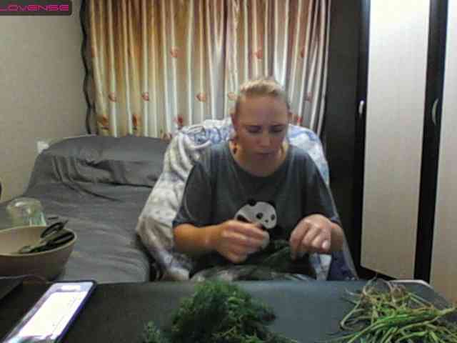 Sona891 webcam