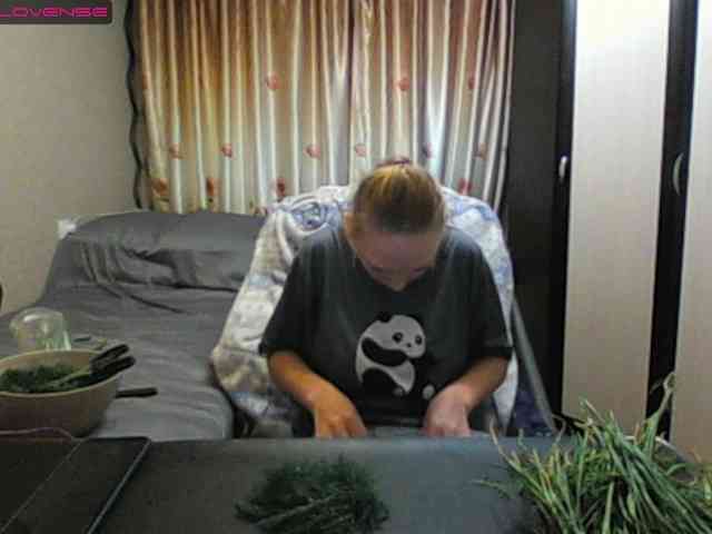 Sona891 webcam