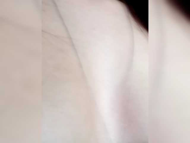 totodasha