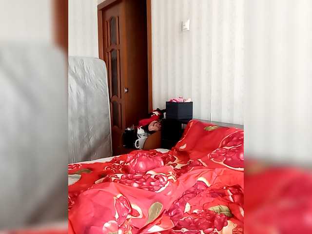 totodasha