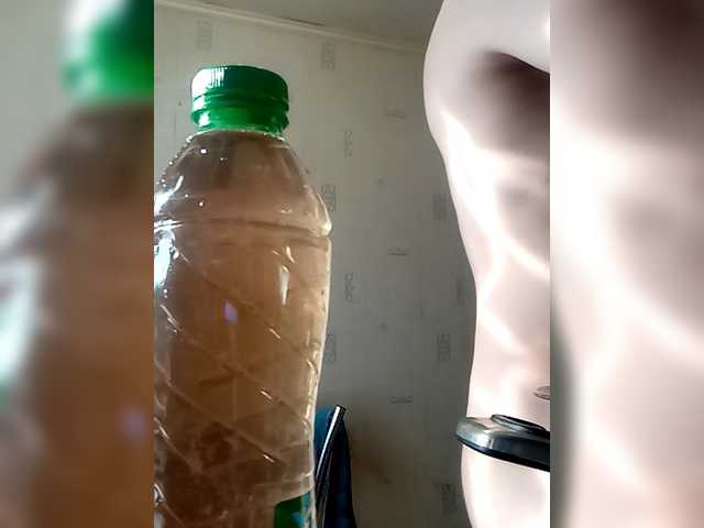 totodasha
