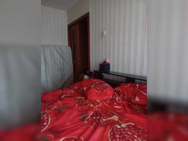 totodasha