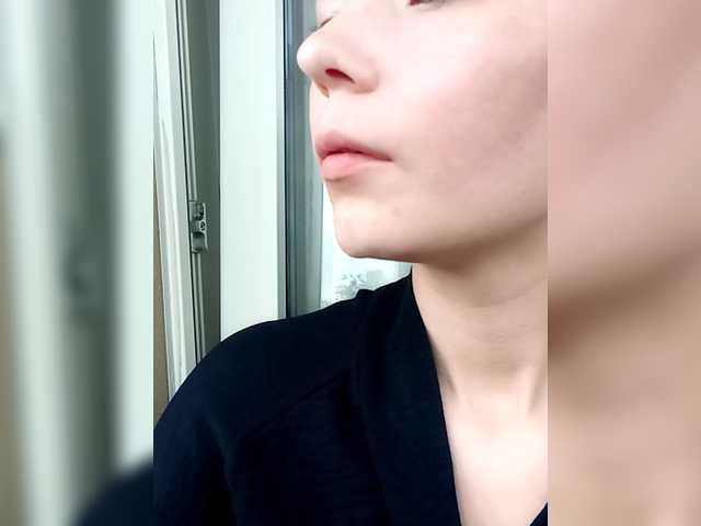 totodasha
