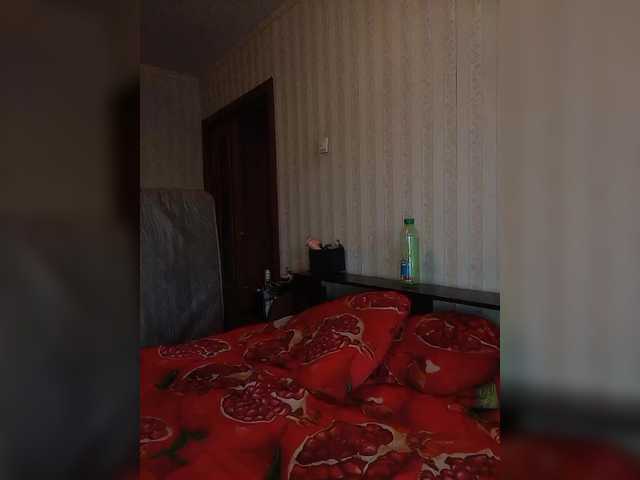 totodasha
