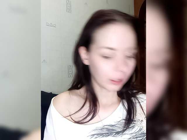 модель totodasha