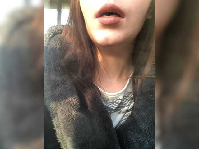 totodasha