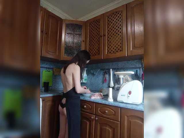 totodasha