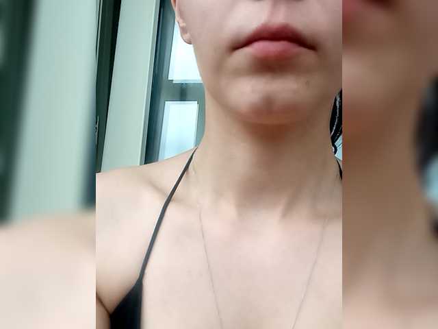 totodasha