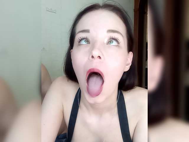 totodasha