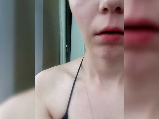 totodasha