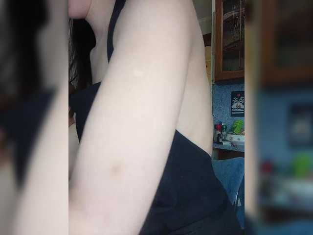 totodasha