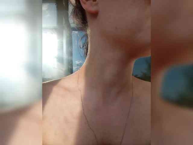 totodasha